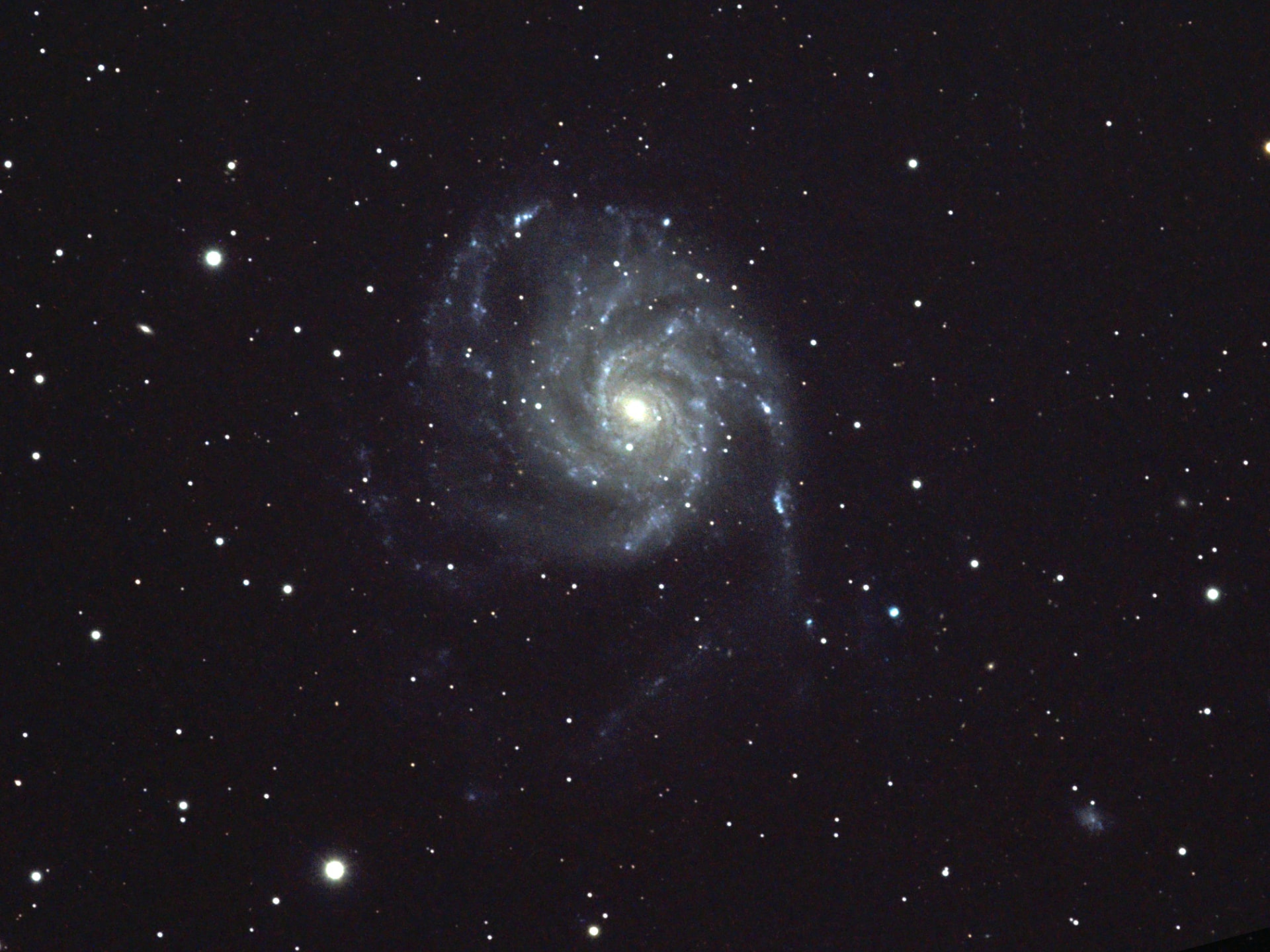 The Pinwheel Galaxy (M101)