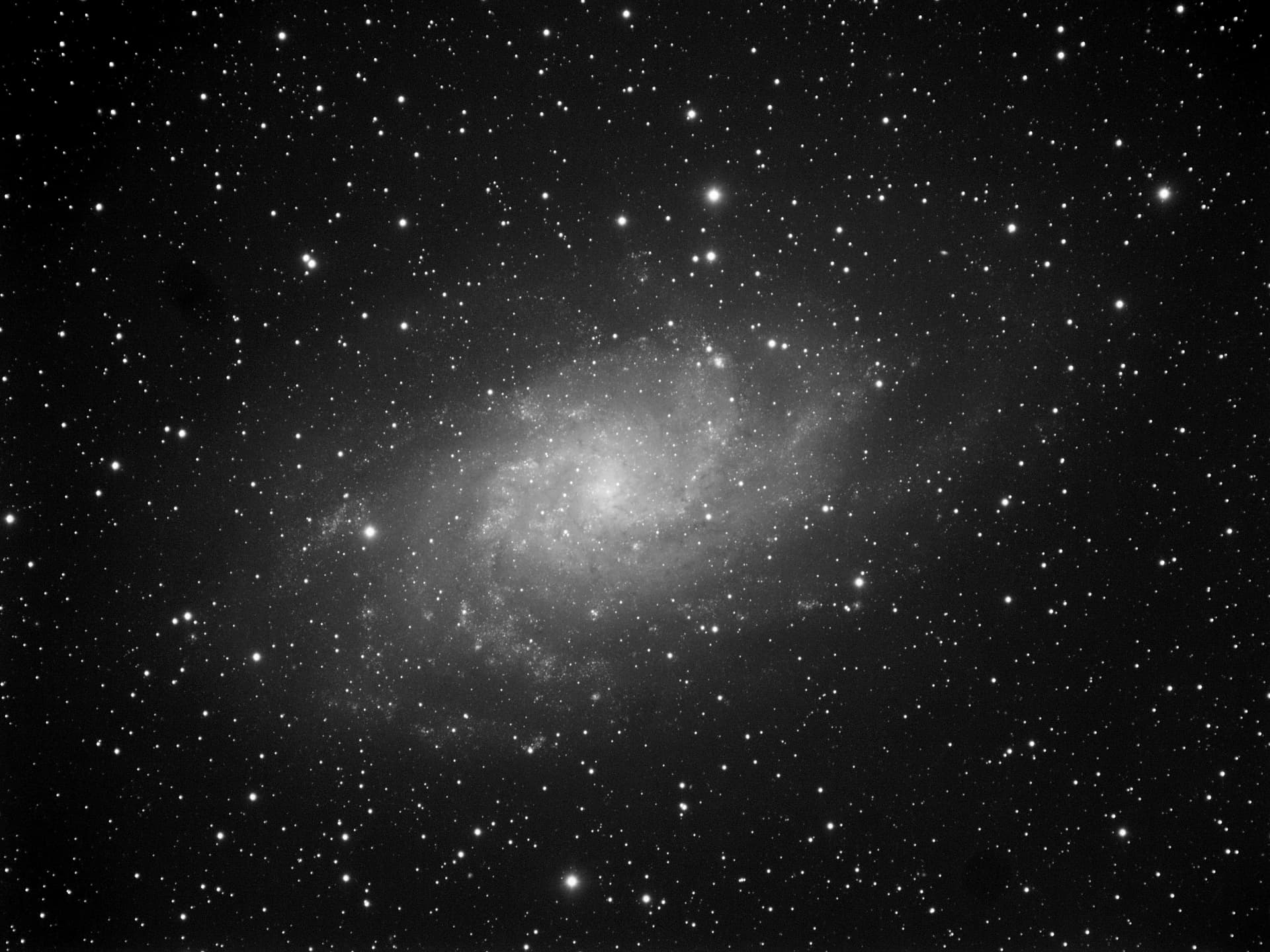 The Triangulum Galaxy (M33) — monochrome