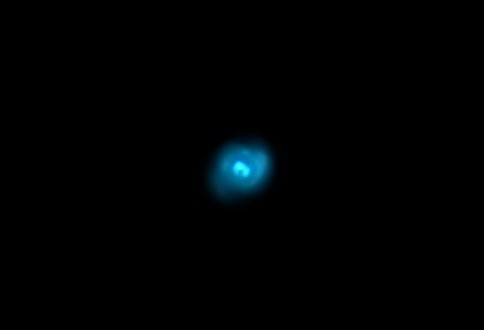 The Cat's Eye Nebula (NGC 6543)